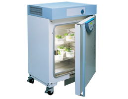 Climacell2
